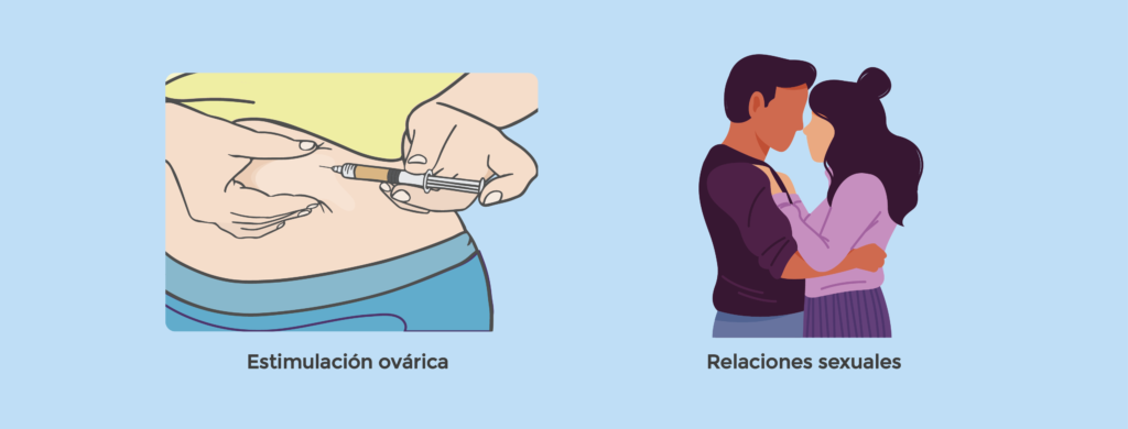 estimulacion ovarica y relaciones sexuales programadas