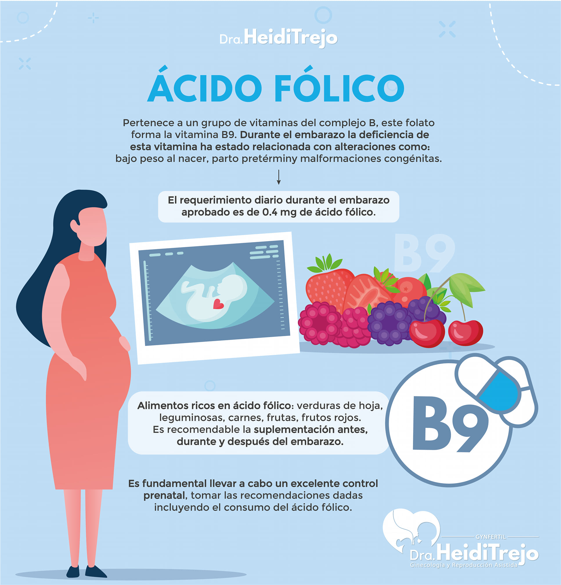 Acido folico en el embarazo